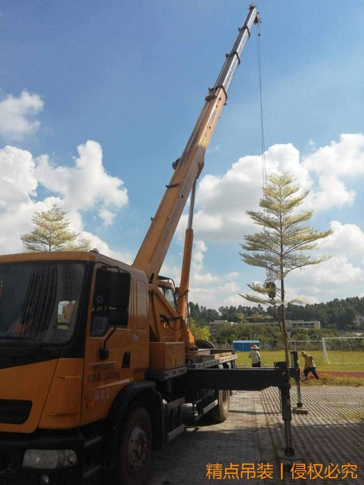 20200802广州番禺区南站小学吊车吊树栽种